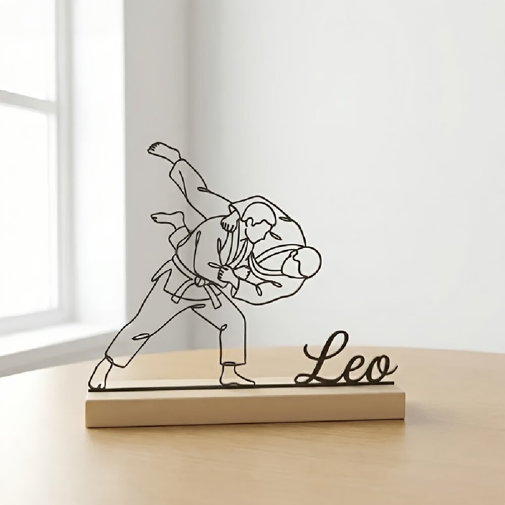 Op maat gegraveerd judo vechts - Industrial Laser Marker recensie en prijs